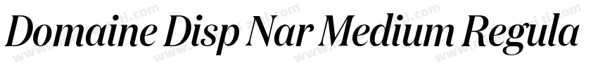 Domaine Disp Nar Medium Regular字体转换